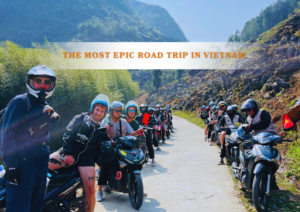 2D1N (Have easy rider)